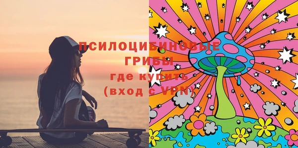 спиды Аркадак