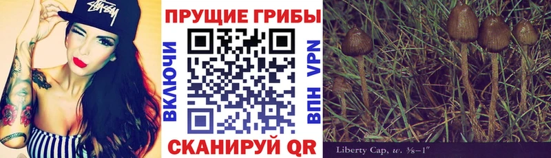даркнет сайт  Глазов  Галлюциногенные грибы мухоморы 